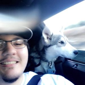 Meet your Posher, Wayne